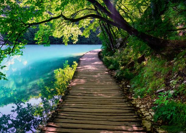 The nature of the Plitvice National Park, Croatia